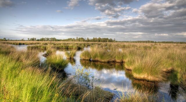 Oost Brabant rit