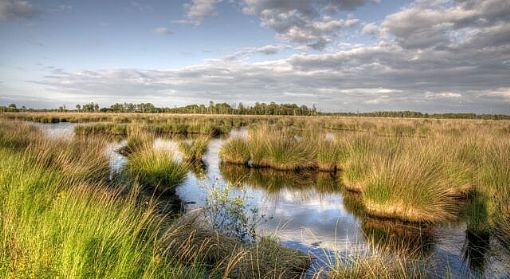 Oost Brabant rit