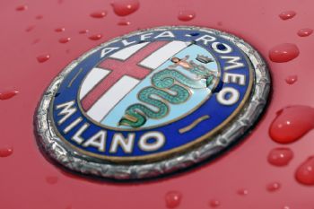 Spettacolo Sportivo 2026 - op de paddocks 